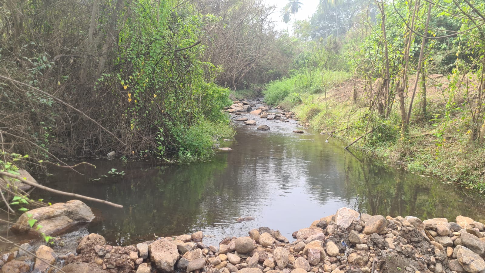 Badrachalam to Papikondalu 1 Day Tour